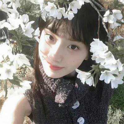 巴斯特·基顿归来